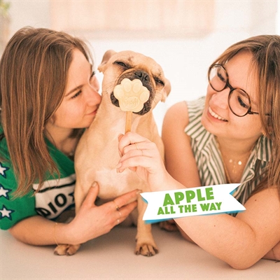 SMOOFL Eissmix für Hunde Apfel laktose-, fett- & getreidefrei | Inklusive 10 Eisstiele - 160 g