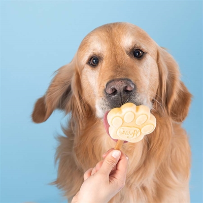 SMOOFL EISMIX FÜR HUNDE ERDNUSSBUTTER Laktose-, Fett- & Getreidefrei - Mit 10 Eisstöcken - 160 g