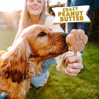 SMOOFL EISMIX FÜR HUNDE ERDNUSSBUTTER Laktose-, Fett- & Getreidefrei - Mit 10 Eisstöcken - 160 g