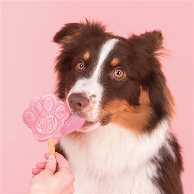 SMOOFL Eis-Mix für Hunde Wassermelone