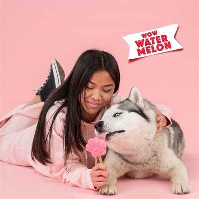 SMOOFL Eis-Mix für Hunde Wassermelone