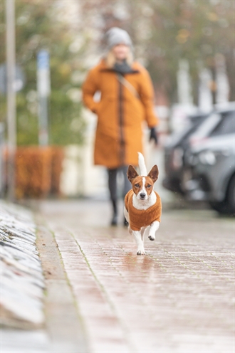 TRIXIE CITYSTYLE HONDENTRUI BERLIN ROEST