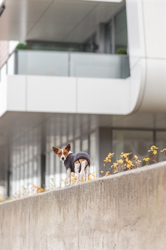 TRIXIE CITYSTYLE HONDENTRUI BERLIN ANTRACIET