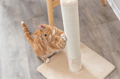 TRIXIE KRABSTAM BATRES BEIGE
