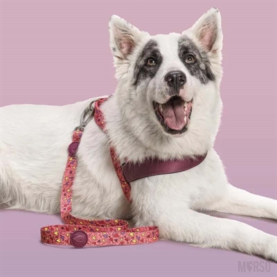 MORSO HONDENRIEM GERECYCLED PINK THINK ROZE