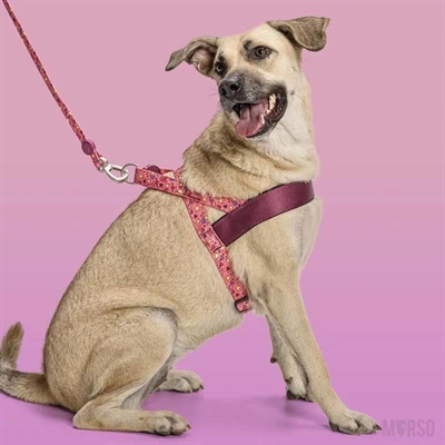 MORSO NORWEGIAN HONDENTUIG GERECYCLED PINK THINK ROZE