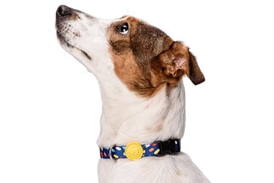 Morso Gerecycled Color Invaders halsband hond