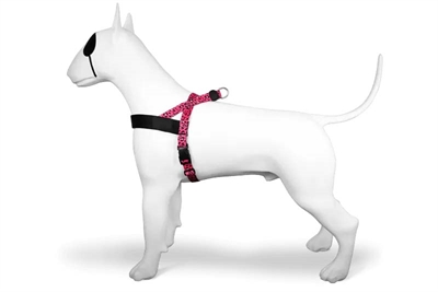 MORSO NORWEGIAN HONDENTUIG GERECYCLED BUBBLE LEO ROZE