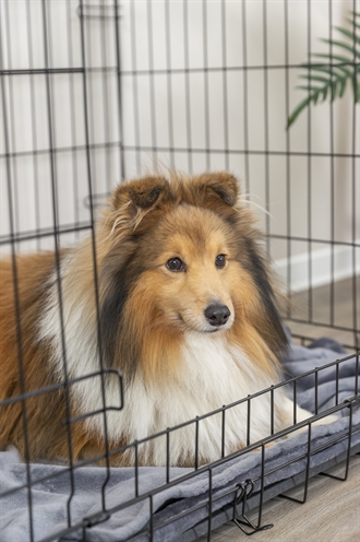 TRIXIE HOME KENNEL ZWART