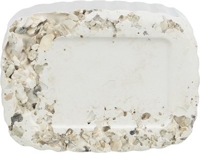 TRIXIE PIKSTEEN MET SCHELPEN MINERALEN EN MOSSELEN