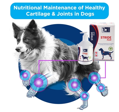 TRM Stride Plus voedingssupplement voor honden