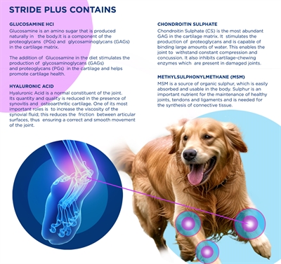 TRM Stride Plus voedingssupplement voor honden