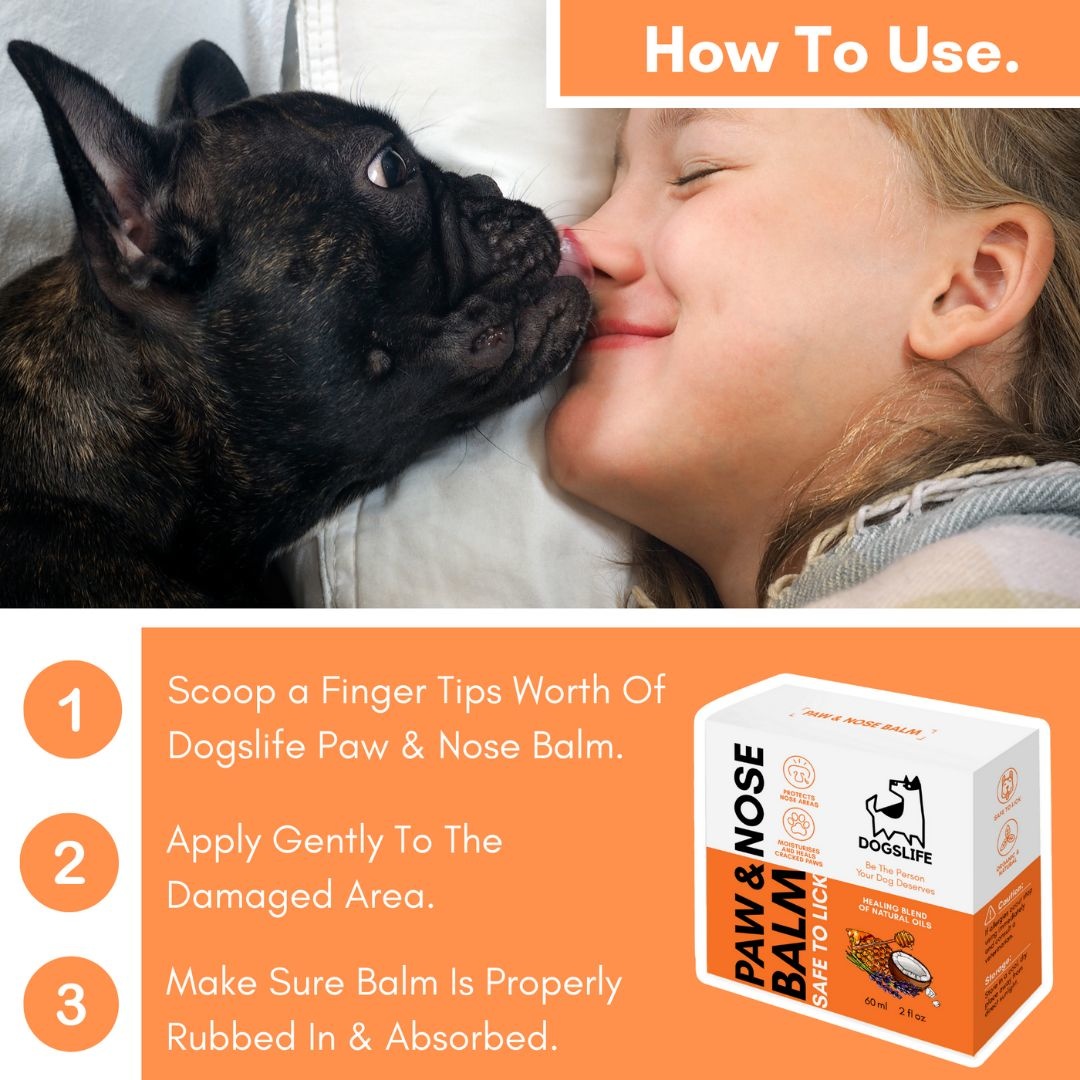 DogsLife Hondenbalsem Paw & Nose Balm – Verzorgt Pootjes en Neus