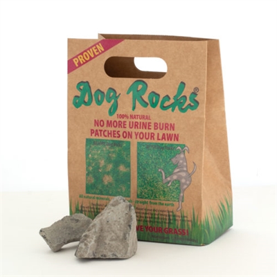 DOG ROCKS Gazonstenen