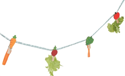 ZOLUX NEOLIFE SNACK SLINGER KONIJN GROEN
