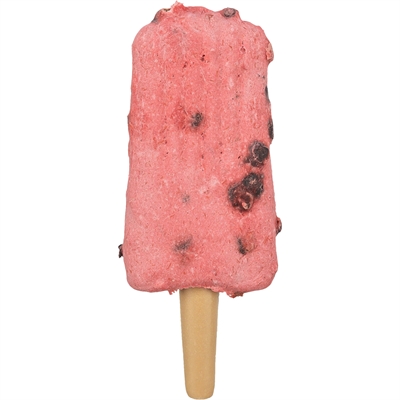 TRIXIE Hondensnack Ice Pop Kipsmaak - Zomerse traktatie - Rood - 55 g
