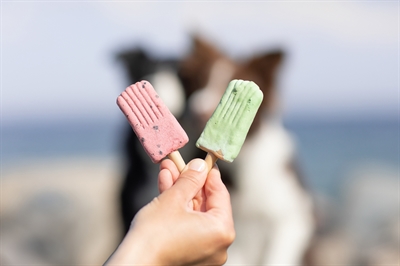 TRIXIE Hondensnack Ice Pop Kipsmaak, IJsjesvorm, Zomersnack - Roze - 55 g