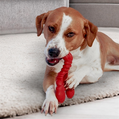 NYLABONE EXTREME CHEW LOBSTER FILET MIGNONSMAAK