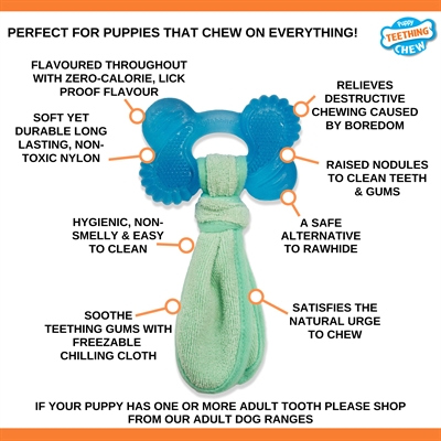 NYLABONE PUPPY FREEZER BONE WITH WASH CLOTH PINDAKAASSMAAK