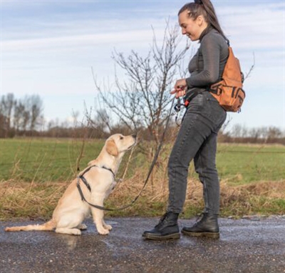TRIXIE ROLLTOP RUGTAS MET HEUPTAS MET RIEM ROEST