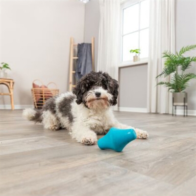 TRIXIE SNACKTOL NATUURRUBBER PETROL