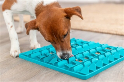 TRIXIE LICK 'N' SNACKMAT SILICONEN BLAUW