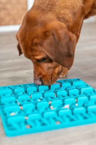 TRIXIE LICK 'N' SNACKMAT SILICONEN BLAUW