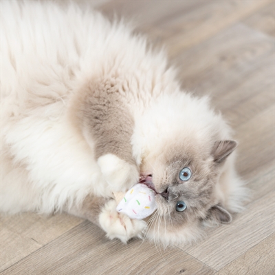 TRIXIE IJSJE OF CUPCAKE PLUCHE MET CATNIP ASSORTI