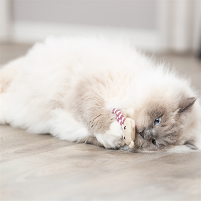 TRIXIE BEER STOF MET CATNIP