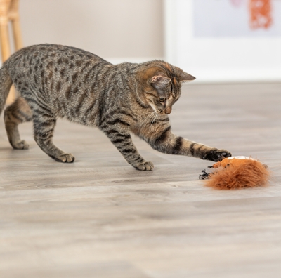 TRIXIE EEKHOORN PLUCHE MET VEERSTAART MET CATNIP