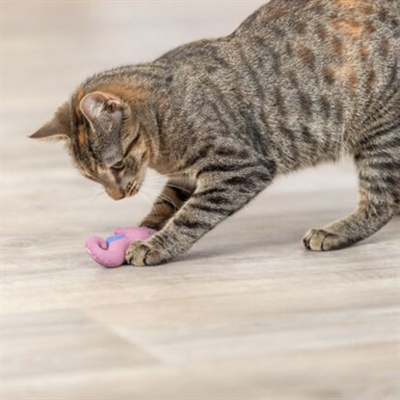 TRIXIE ZEEPAARD PLUCHE MET CATNIP ASSORTI