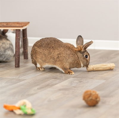 TRIXIE GRASSPEELGOED MET JUTE