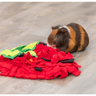 TRIXIE SNUFFELMAT AARDBEI ROOD