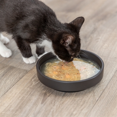 TRIXIE SOUP MET KIP EN ZALM