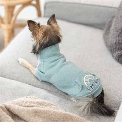 TRIXIE HONDENTRUI SWEATSHIRT LITTLETON MINTGROEN