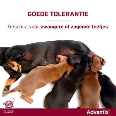 ELANCO ADVANTIX SPOT ON