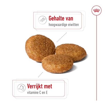 Royal Canin Medium Adult hondenbrokken