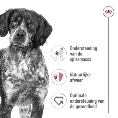 Royal Canin Medium Adult hondenbrokken