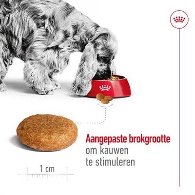 Royal Canin Medium Adult hondenbrokken