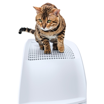 IMAC KATTENBAK FRIDA MET LADE GROEN