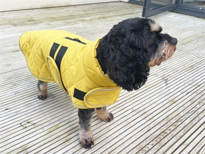 HAPPY PET HONDENJAS GO WALK QUILTED CLASSIC MOSTERD