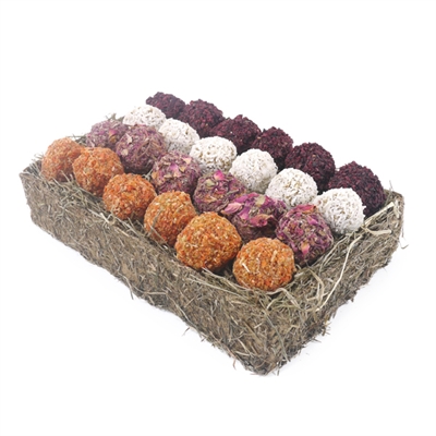 GIFT 'N' FORAGE TRUFFEL SCHAAL