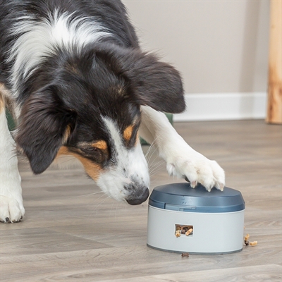 TRIXIE DOG ACTIVITY BUZZER KUNSTSTOF