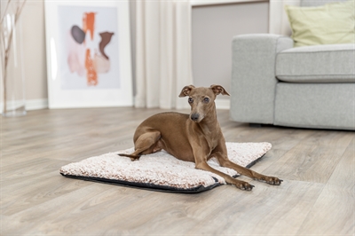 TRIXIE TAPIS DE COUCHAGE CALIDA AVEC GARNISSAGE THERMORÉFLÉCHISSANT BLANC-MARRON