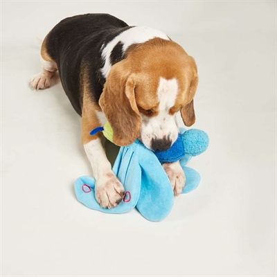 FOFOS JUMBO BUTTERFLY BLUE