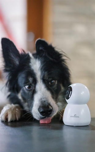 EYENIMAL PET VISION LIVE HD CAMERA ZONDER GELUID DETECTIE