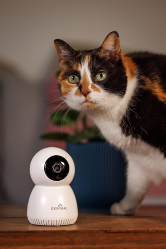 EYENIMAL PET VISION LIVE HD CAMERA ZONDER GELUID DETECTIE