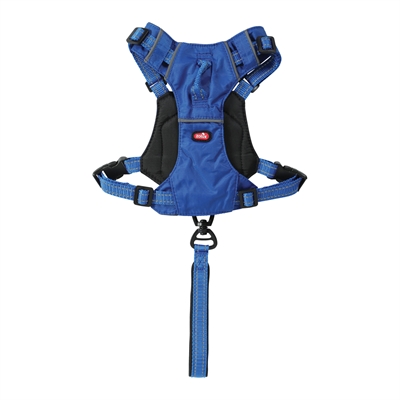 Zolux Easyride Geschirr blau XS 33-43 cm 130 cm