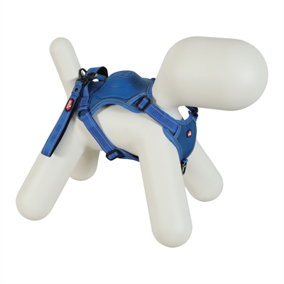 Zolux Easyride Geschirr blau XS 33-43 cm 130 cm