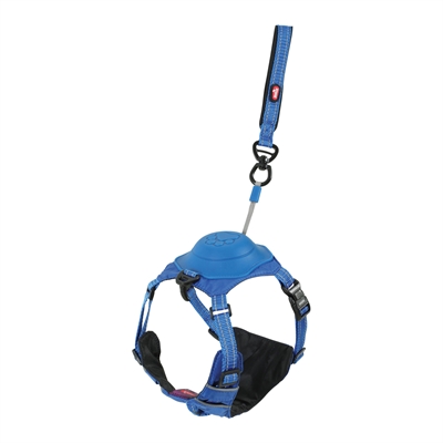 Zolux Easyride harnais bleu XS 33-43 cm 130 cm